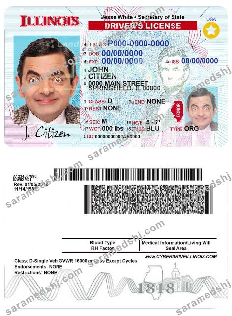 USA Illinois driving license